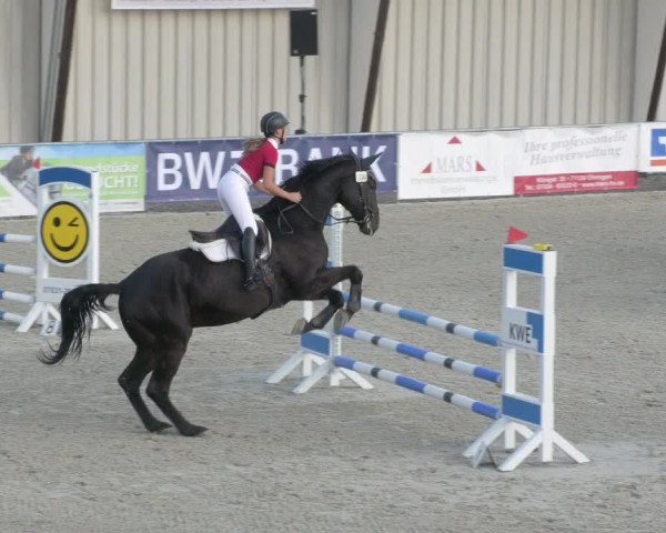 Reitturnier Ehningen 2020