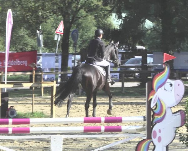 Reitturnier Walldorf/Winterheck 2020