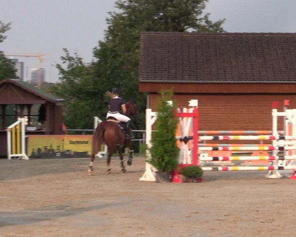 Reitturnier Dortmund-Barop 2020