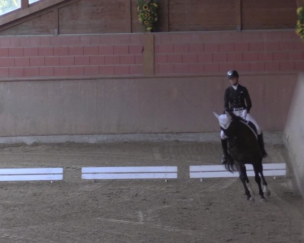 Reitturnier Dortmund-Barop 2020