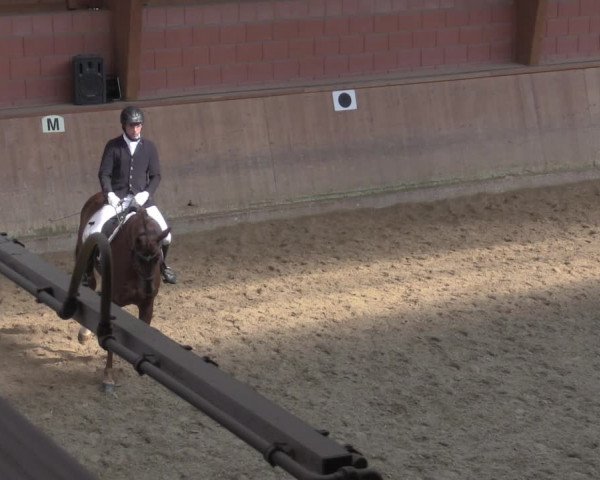 Reitturnier Dortmund-Barop 2020
