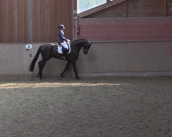 Reitturnier Dortmund-Barop 2020