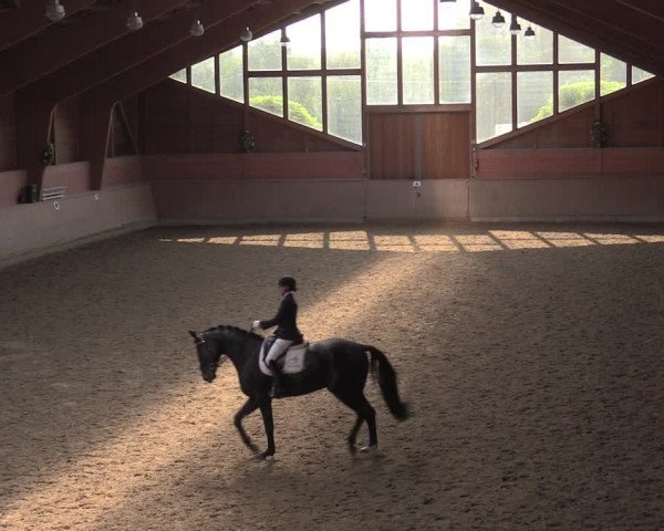 Reitturnier Dortmund-Barop 2020
