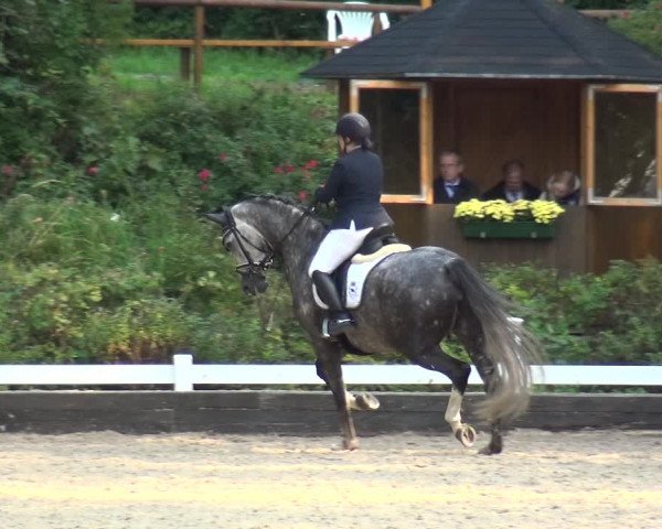 Reitturnier Mettmann - Reitanlage Löckenhoff 2020