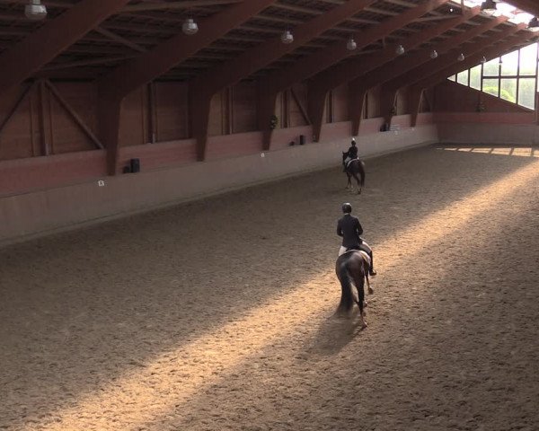 Reitturnier Dortmund-Barop 2020
