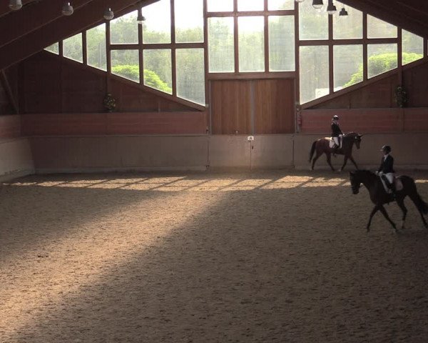 Reitturnier Dortmund-Barop 2020