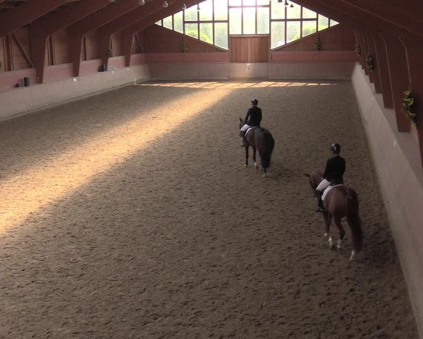 Reitturnier Dortmund-Barop 2020