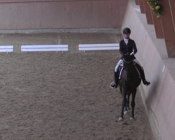 Reitturnier Dortmund-Barop 2020