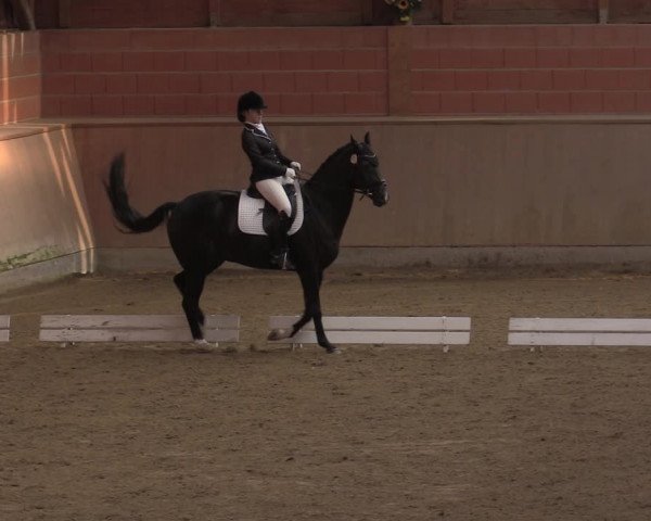 Reitturnier Dortmund-Barop 2020