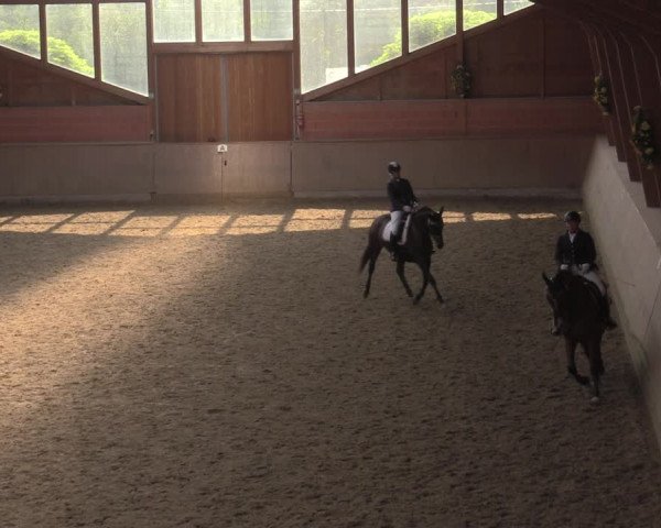 Reitturnier Dortmund-Barop 2020