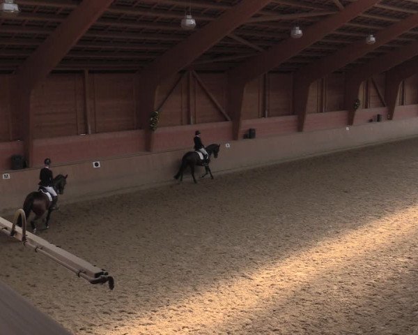 Reitturnier Dortmund-Barop 2020