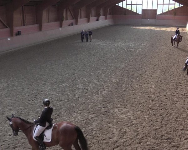 Reitturnier Dortmund-Barop 2020
