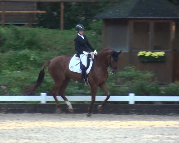 Reitturnier Mettmann - Reitanlage Löckenhoff 2020