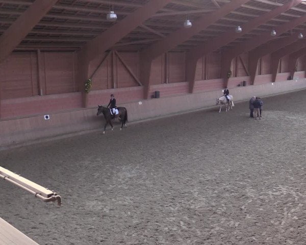 Reitturnier Dortmund-Barop 2020