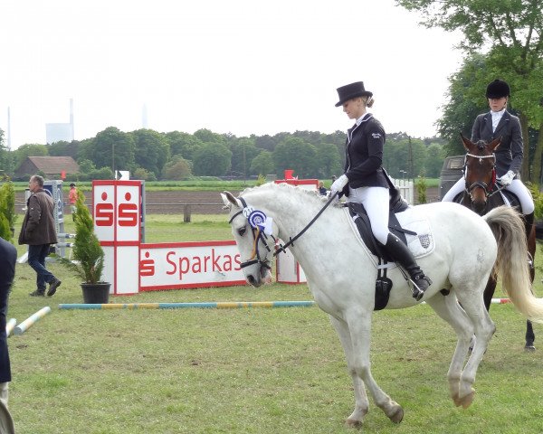 dressage horse Dein Filou (German Riding Pony, 2006, from Dein Freund) dressage horse Dein Filou (German Riding Pony, 2006, from Dein Freund)