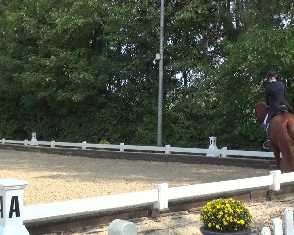 Reitturnier Mettmann - Reitanlage Löckenhoff 2020