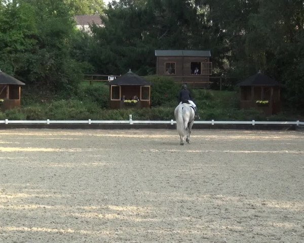 Reitturnier Mettmann - Reitanlage Löckenhoff 2020