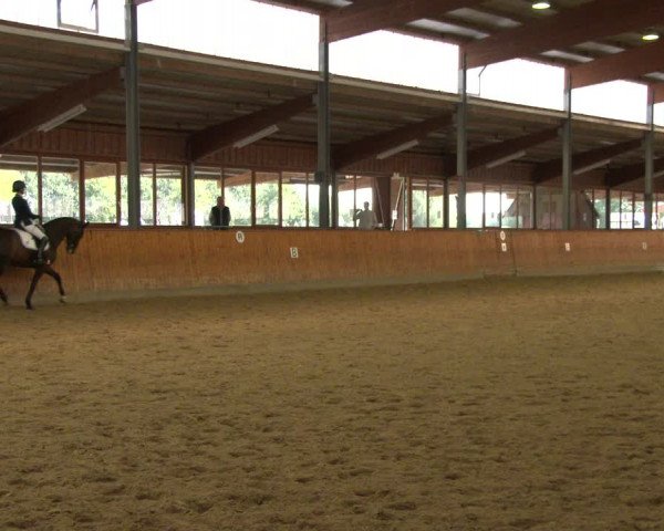 Reitturnier Appelhülsen 2020