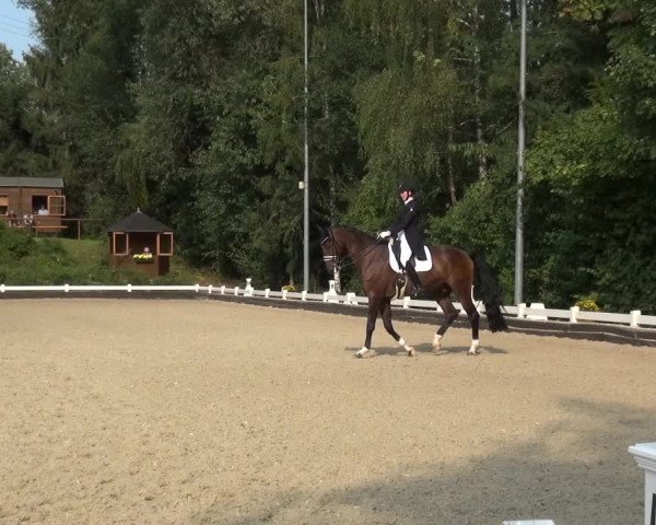 Reitturnier Mettmann - Reitanlage Löckenhoff 2020