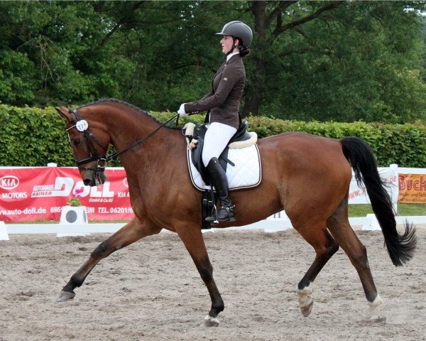 dressage horse Petit Romantique (Bavarian, 2004, from Rosso di Sera)