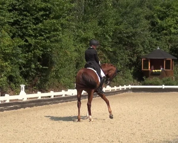 Reitturnier Mettmann - Reitanlage Löckenhoff 2020