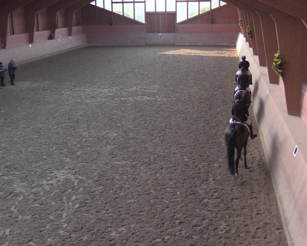 Reitturnier Dortmund-Barop 2020