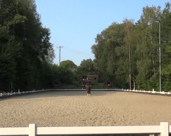Reitturnier Mettmann - Reitanlage Löckenhoff 2020