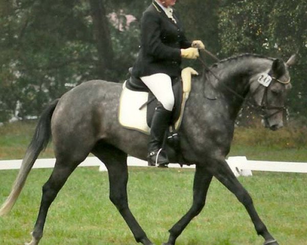 broodmare Lovely Liza (Oldenburg, 2008, from Starway)