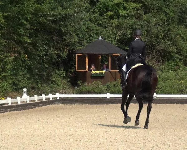 Reitturnier Mettmann - Reitanlage Löckenhoff 2020