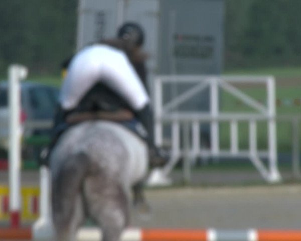 Reitturnier Appelhülsen 2020