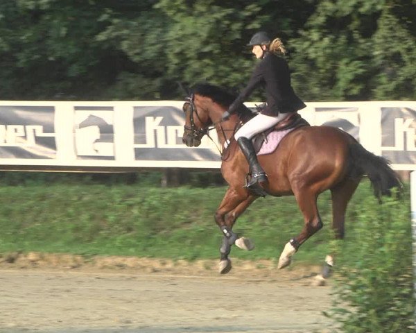Reitturnier Walldorf/Winterheck 2020