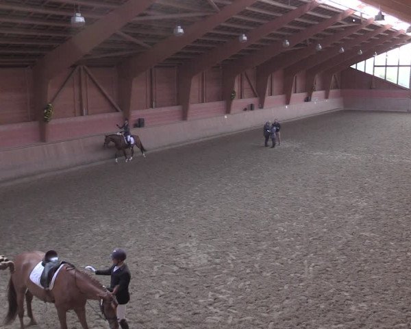 Reitturnier Dortmund-Barop 2020