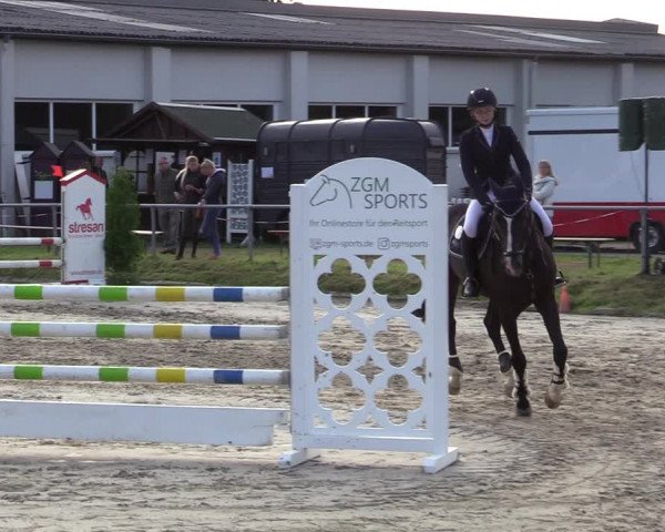 Reitturnier Dortmund-Barop 2020