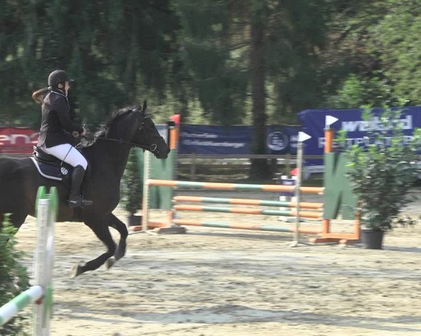 Reitturnier Walldorf/Winterheck 2020