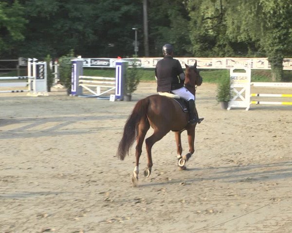 Reitturnier Walldorf/Winterheck 2020