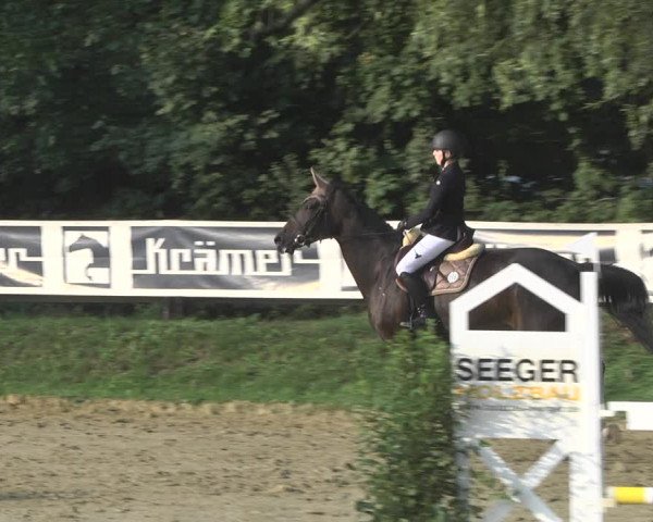 Reitturnier Walldorf/Winterheck 2020