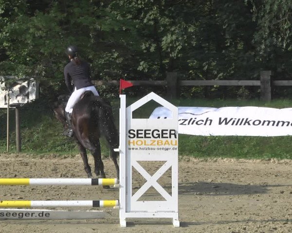 Reitturnier Walldorf/Winterheck 2020