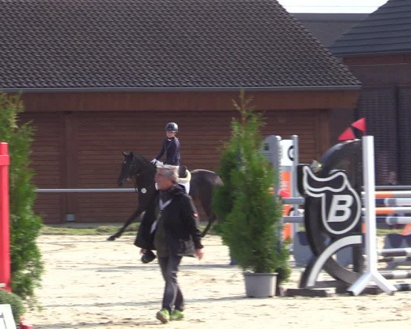 Reitturnier Dortmund-Barop 2020
