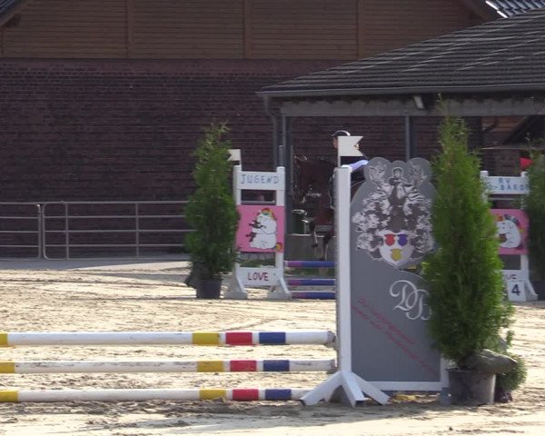 Reitturnier Dortmund-Barop 2020