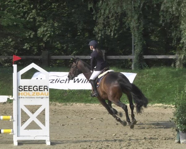 Reitturnier Walldorf/Winterheck 2020