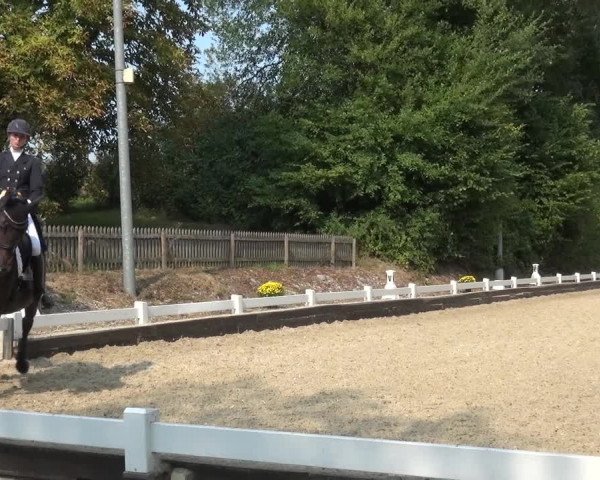 Reitturnier Mettmann - Reitanlage Löckenhoff 2020