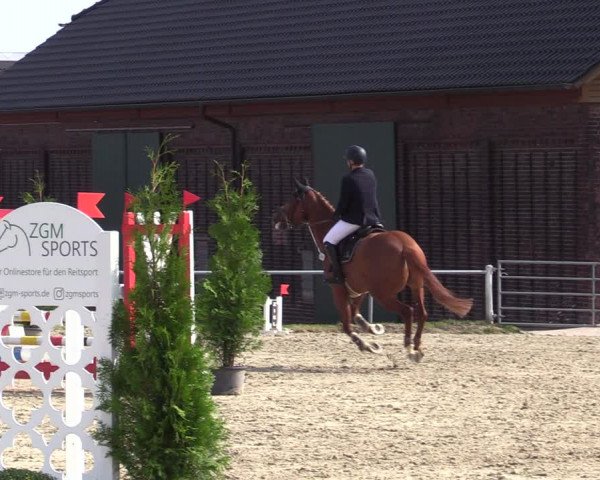 Reitturnier Dortmund-Barop 2020