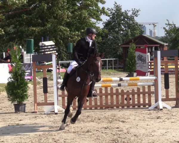 Reitturnier Dortmund-Barop 2020