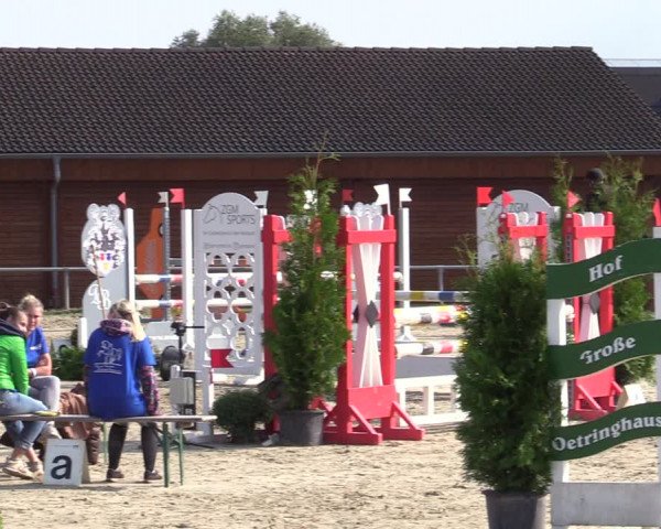 Reitturnier Dortmund-Barop 2020