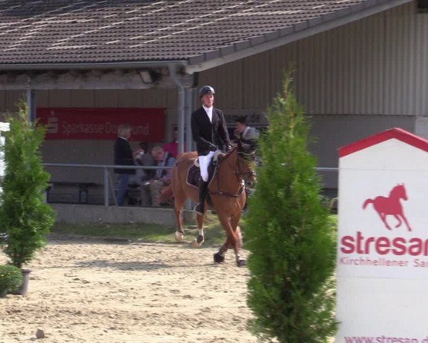 Reitturnier Dortmund-Barop 2020