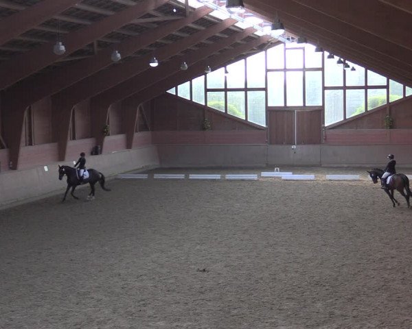 Reitturnier Dortmund-Barop 2020