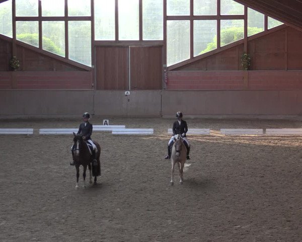 Reitturnier Dortmund-Barop 2020