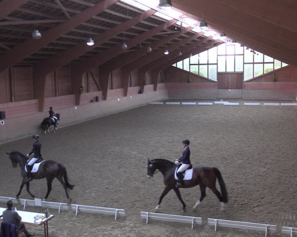 Reitturnier Dortmund-Barop 2020