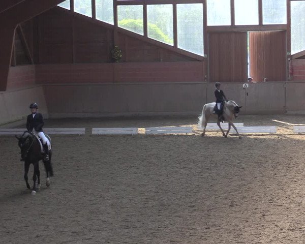 Reitturnier Dortmund-Barop 2020