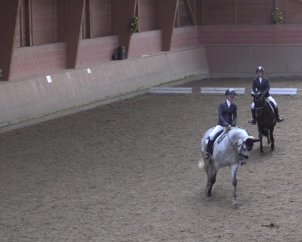 Reitturnier Dortmund-Barop 2020